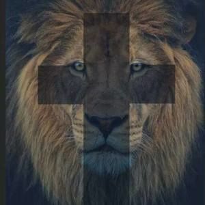 Meet your Posher, Gregory